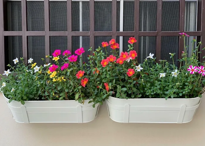 La Corte Apartamento *